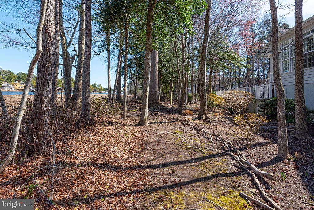 OCEAN PINES - THE PARKE - Residential