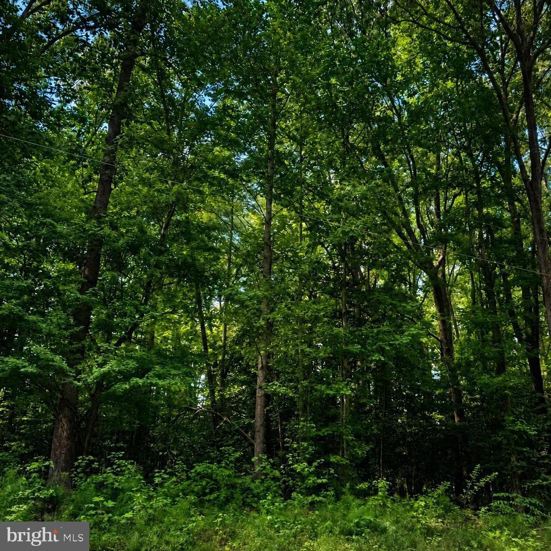 18C COD CREEK DRIVE