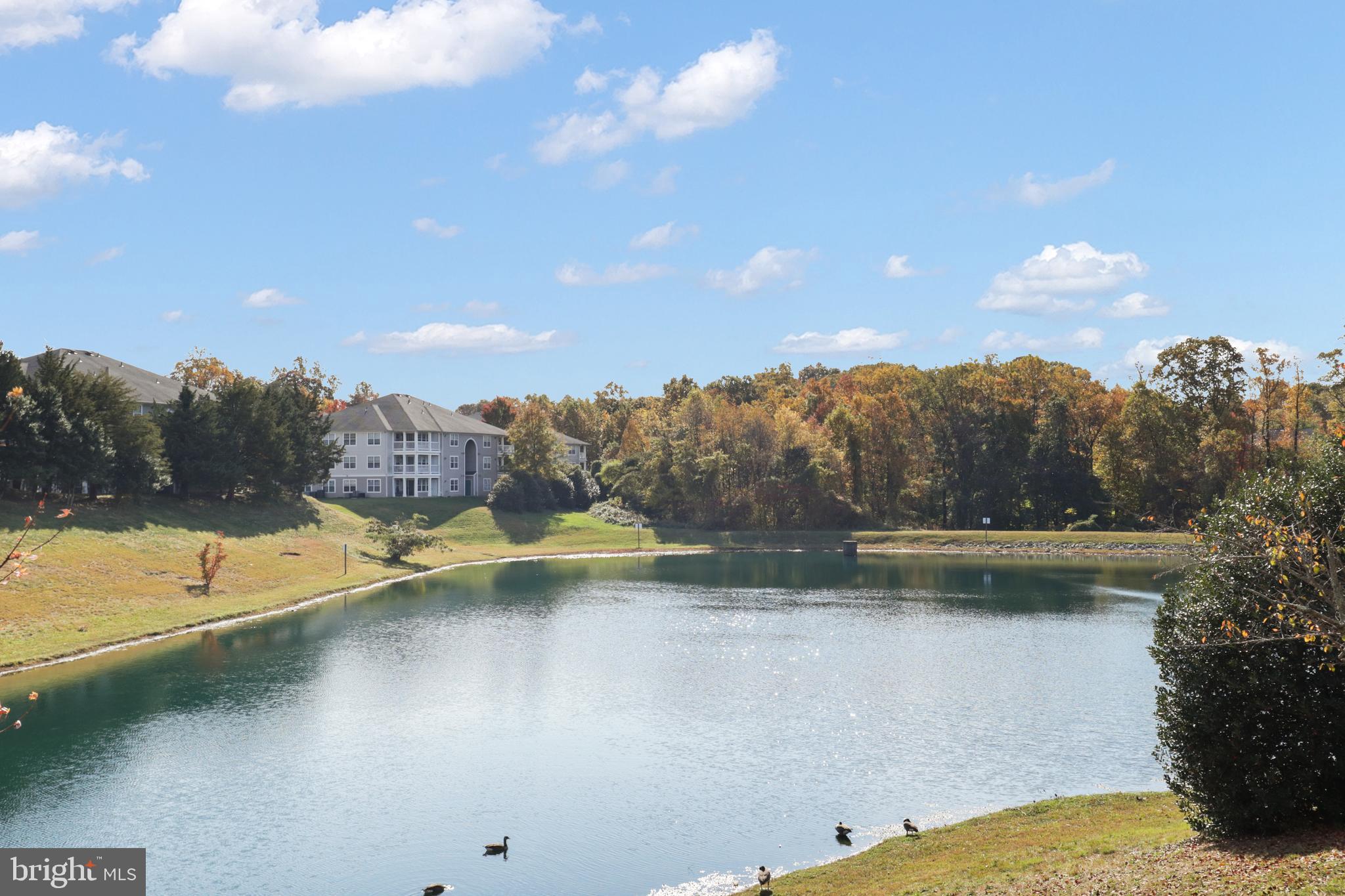PROSPECT COVE AT LAKESID - Residential