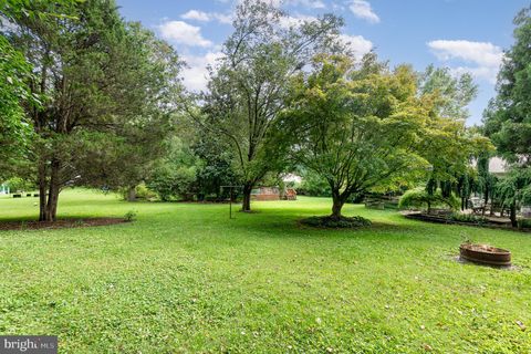 listing image 56
