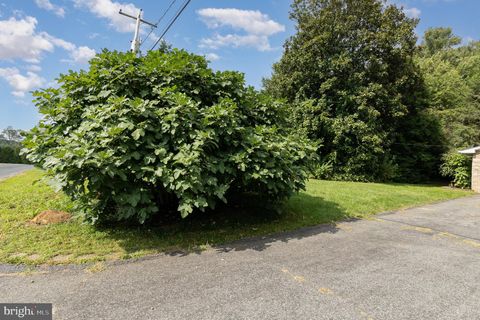 listing image 55