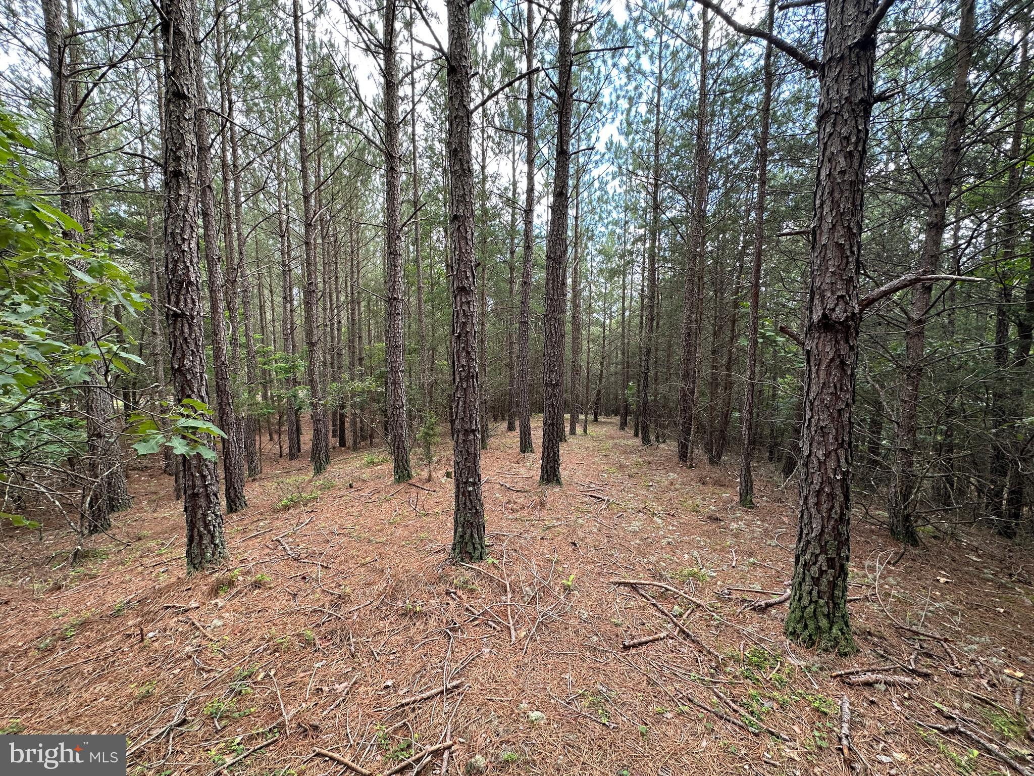 NONE AVAILABLE - Land