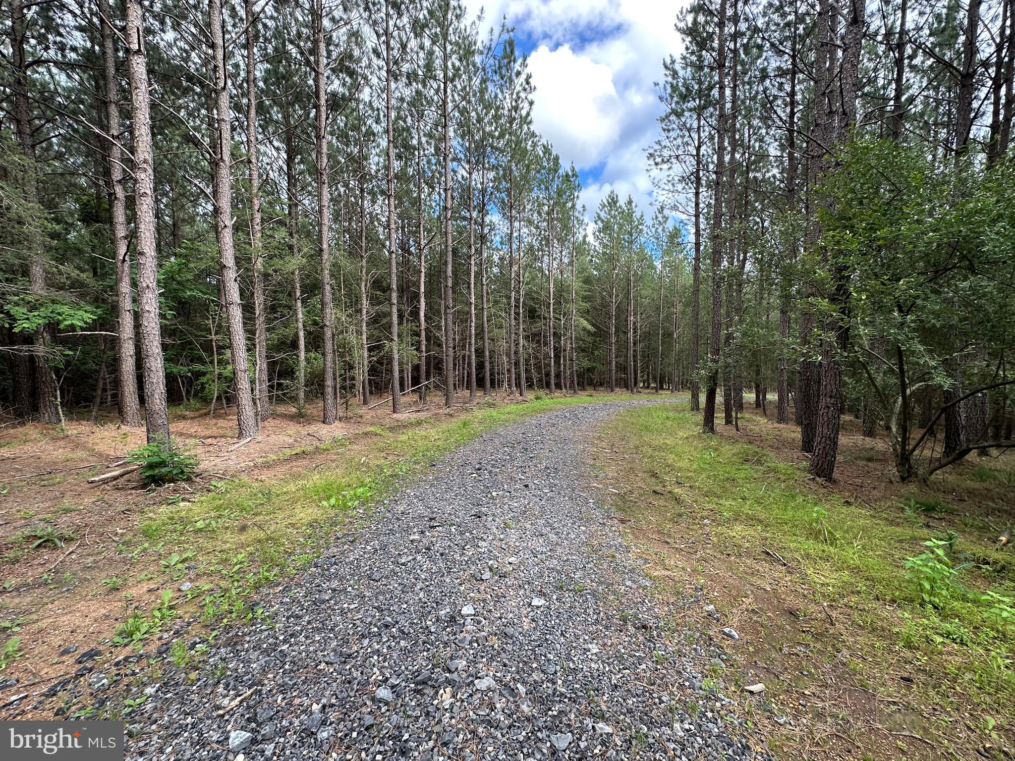 NONE AVAILABLE - Land