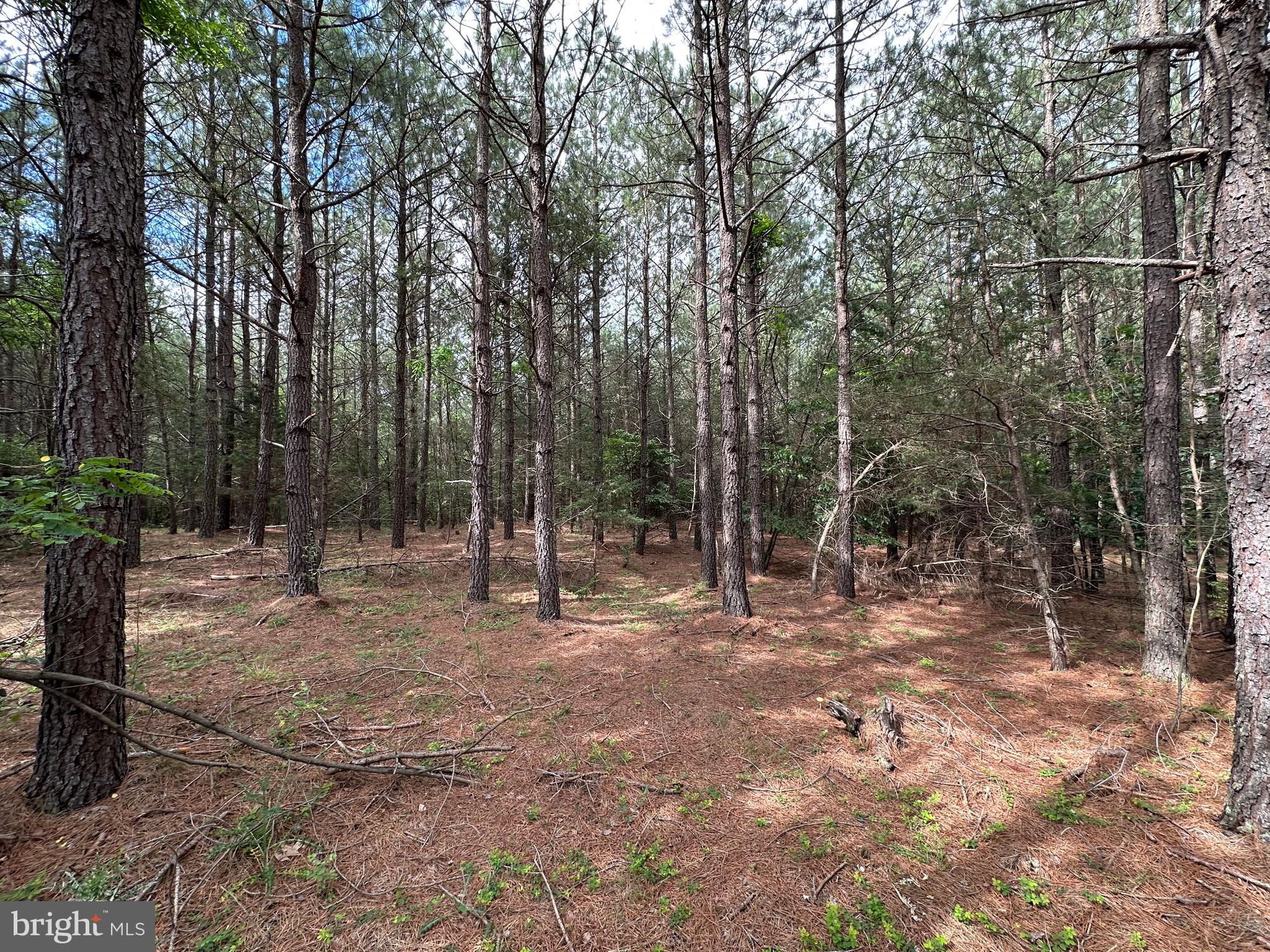 NONE AVAILABLE - Land