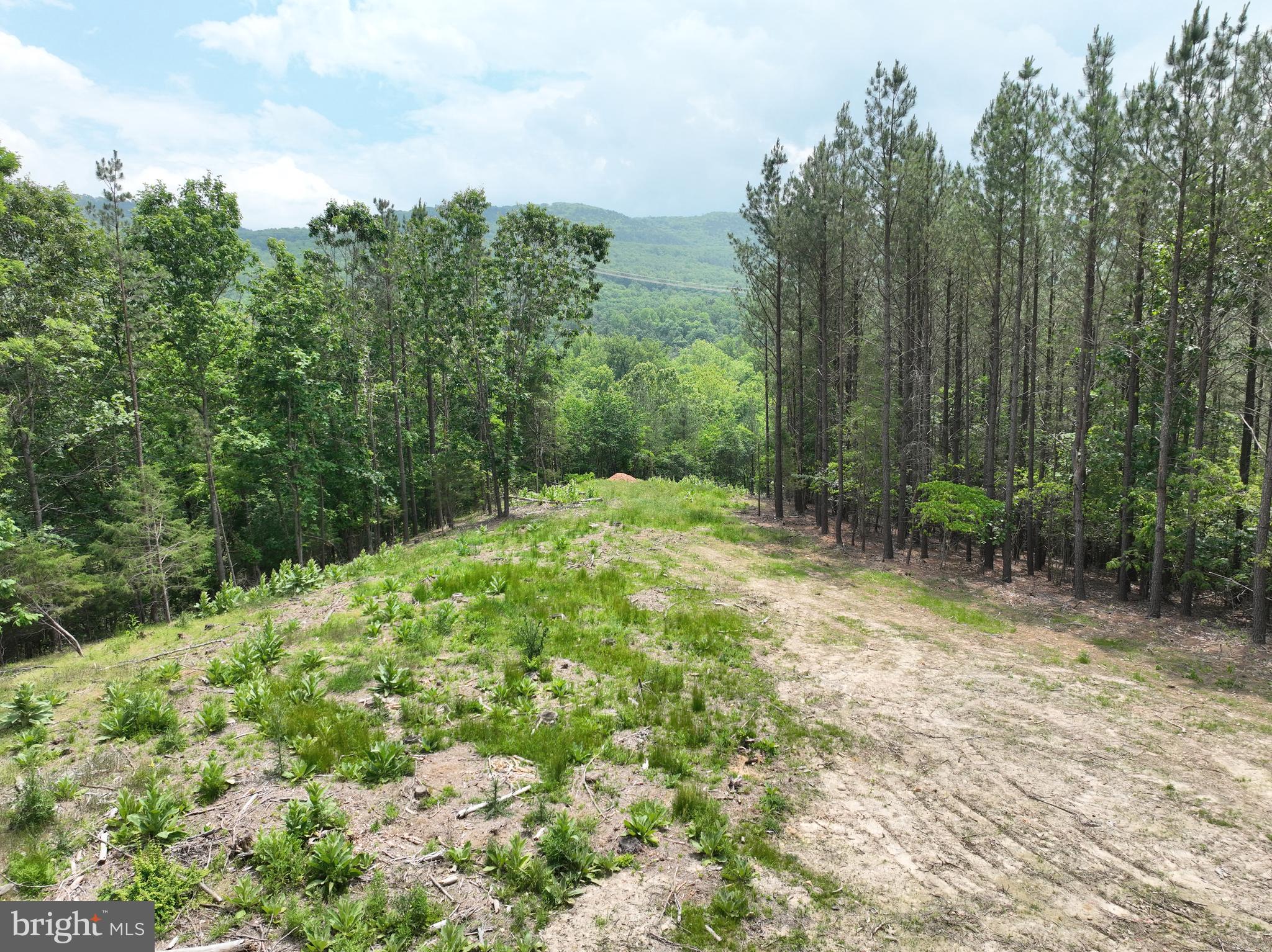 Big Land. Big Views. No Restrictions. Looking for real freedom in the hills of Hampshire County? This 22.29-acre tract near Delray, West Virginia, delivers everything you’re after—space, seclusion, and wide-open potential. Located just under two hours from Washington, D.C., and less than an hour from Winchester, Virginia, this land puts you close enough to get what you need, but far enough to finally breathe. We’re talking no restrictions here. You want to hunt? Build a cabin? Put up a shop? Park the camper or throw up a shooting range? You don’t need permission. Just do it. The gravel roads are in place and solid, with cleared build sites already prepped and waiting. Approved perk test is on file. And the views? Just step onto the lot and look around—mountains in almost every direction, all under a wide West Virginia sky. This is prime land for the buyer who’s ready to stake his claim and do things his own way. Whether you want a weekend basecamp or a full-time escape, this one’s got the goods. Unrestricted land like this doesn’t come along often—especially with this kind of access and setup. Make the call. Come take a walk and see it for yourself.