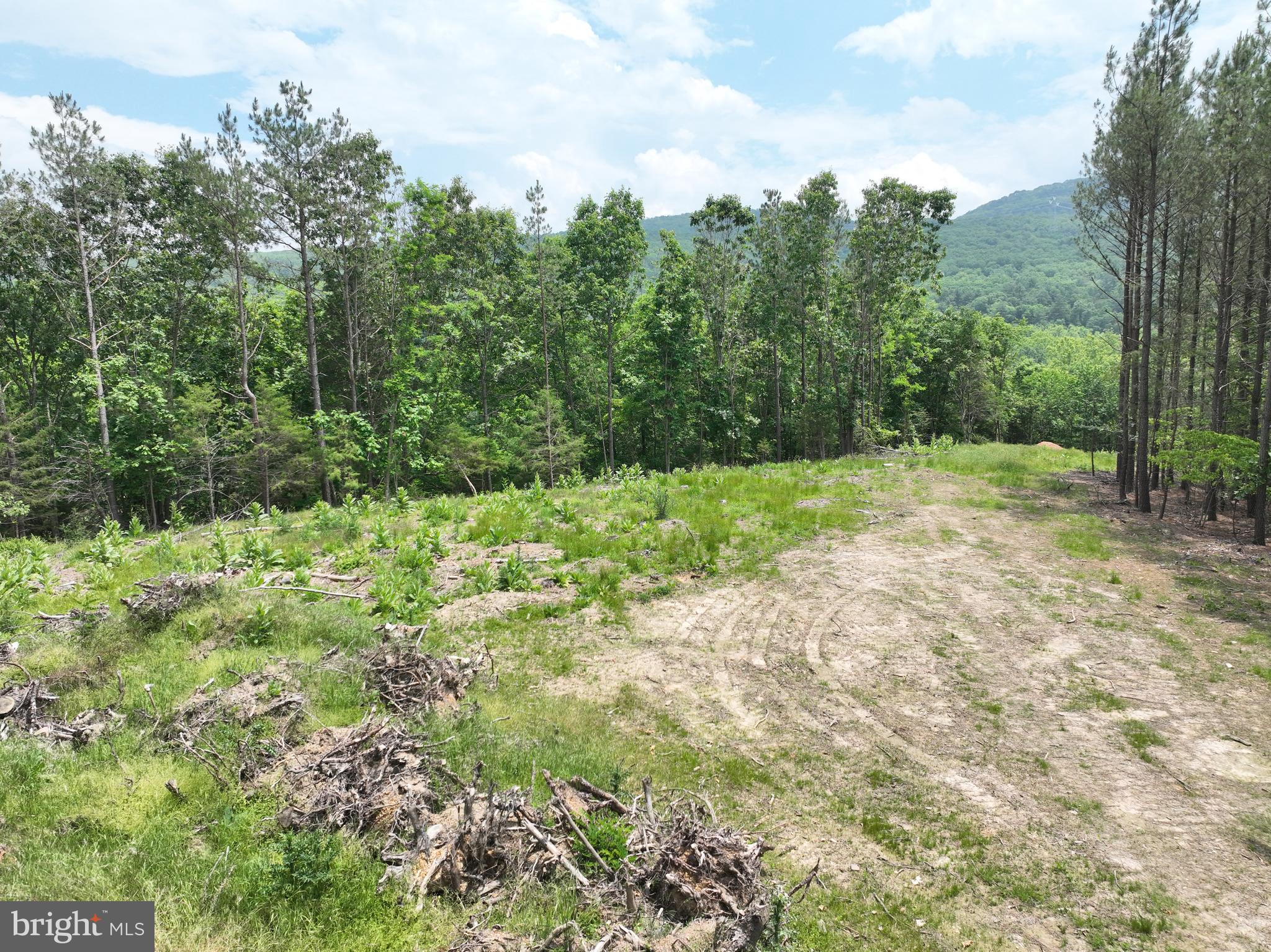 NONE AVAILABLE - Land