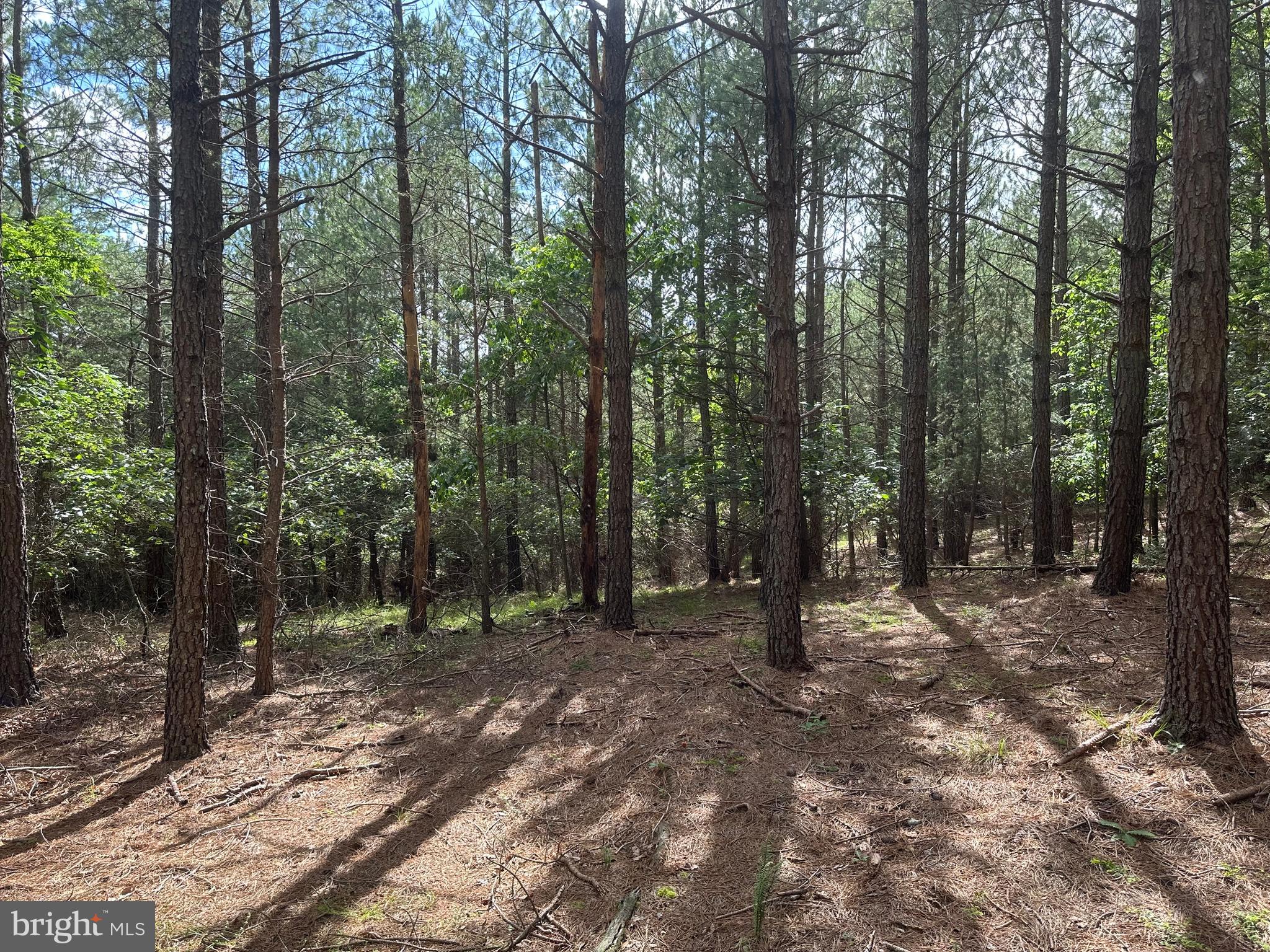 NONE AVAILABLE - Land