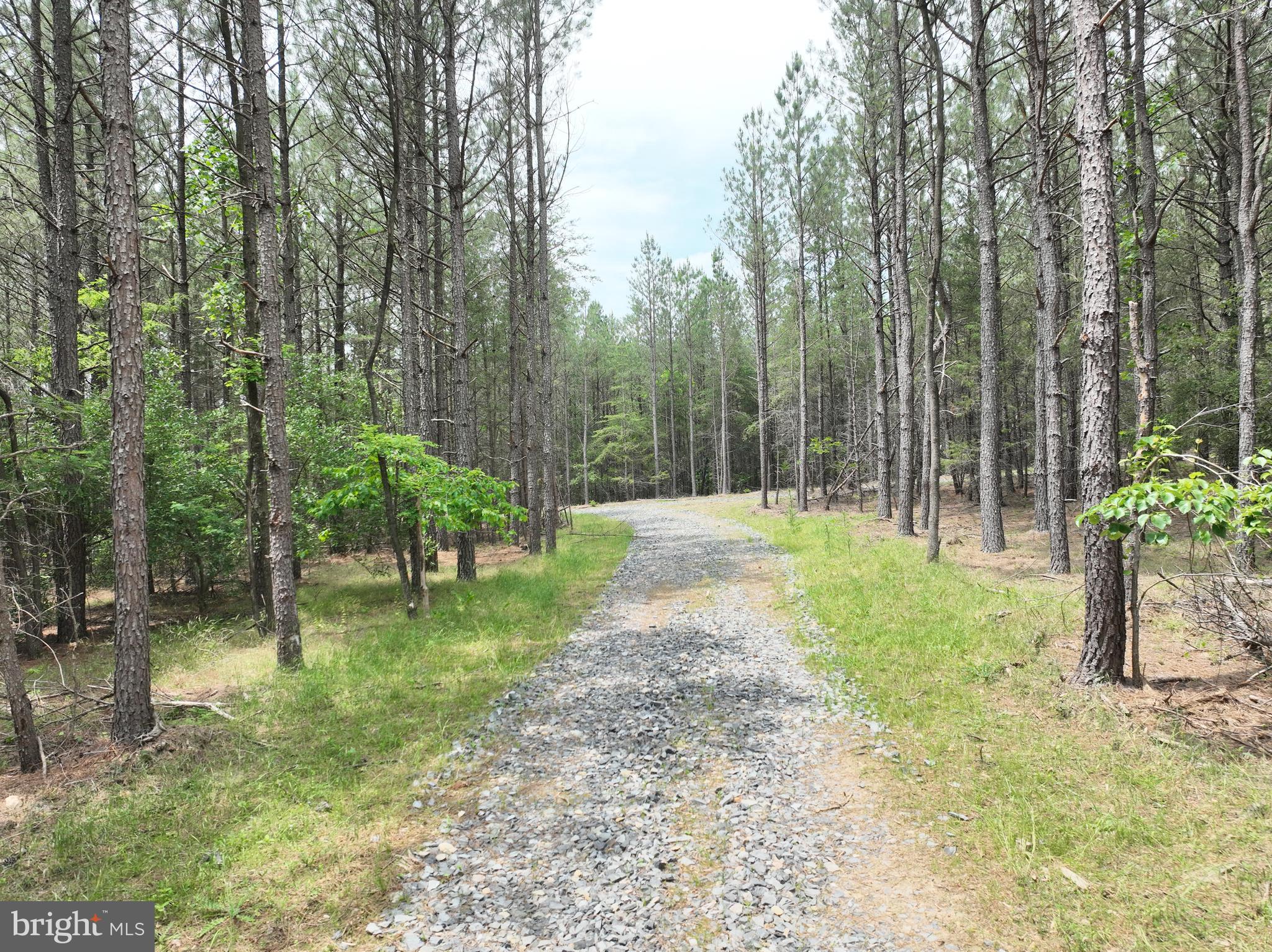 NONE AVAILABLE - Land