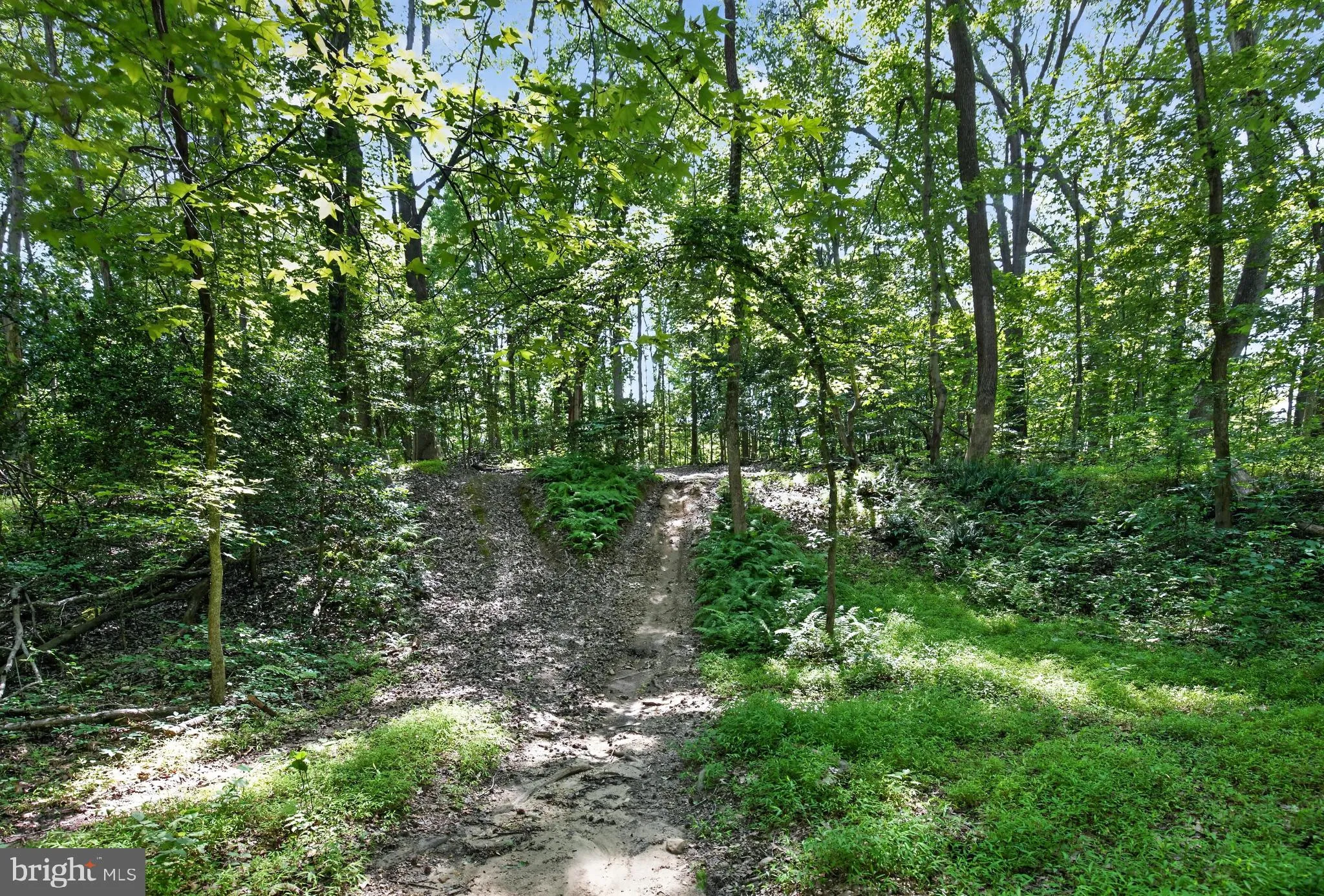 Additional image 118 of 11450 Edge Hill Road, Newburg, MD 20664