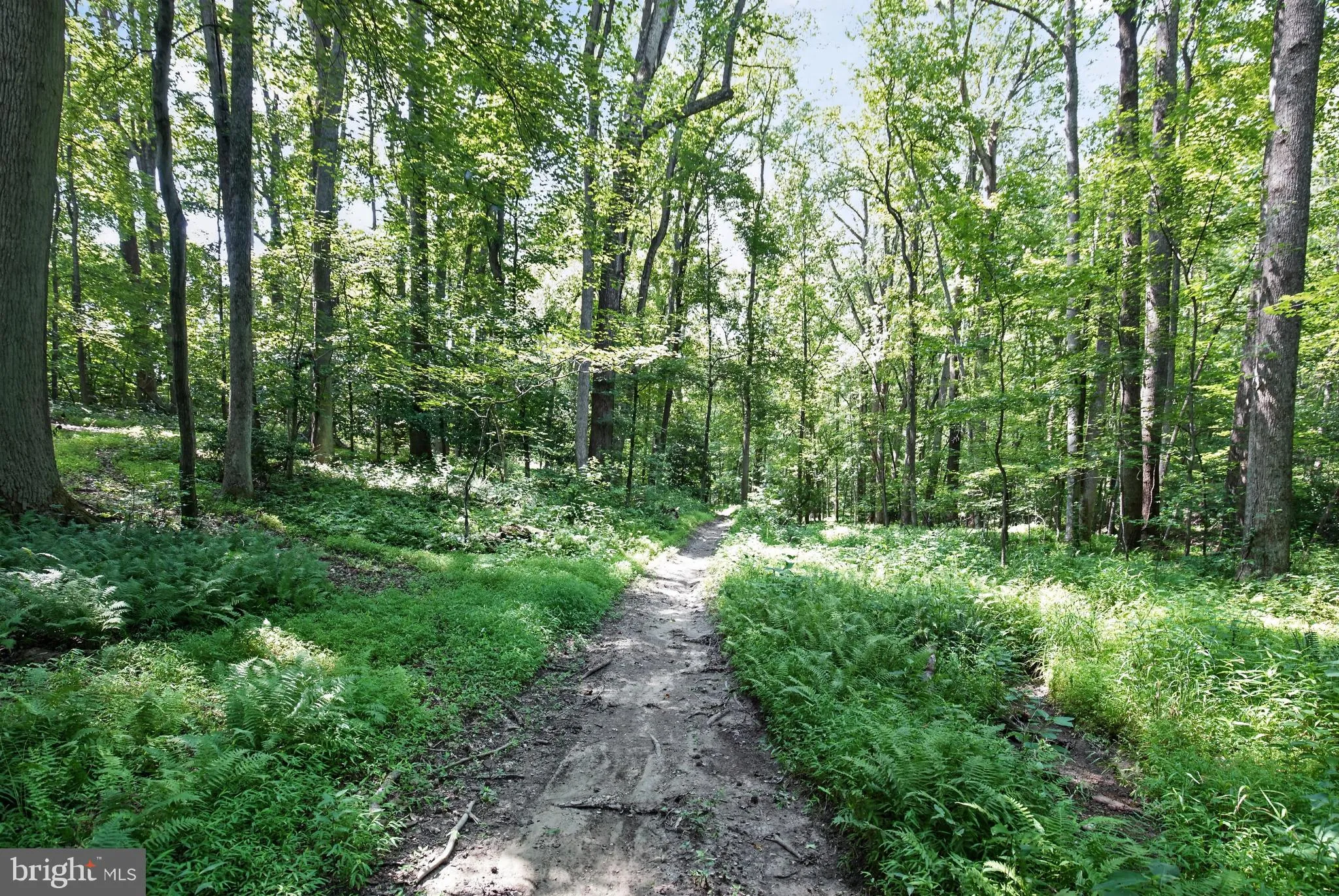 Additional image 119 of 11450 Edge Hill Road, Newburg, MD 20664