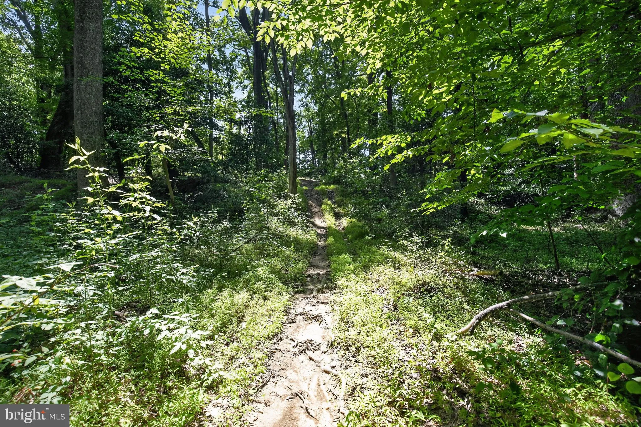 Additional image 120 of 11450 Edge Hill Road, Newburg, MD 20664