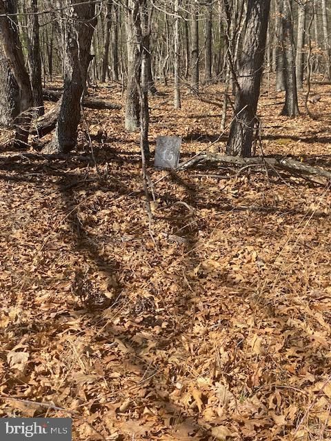 Vacant Land For Sale - TBD Marigold<br/> GERRARDSTOWN, WV 25420