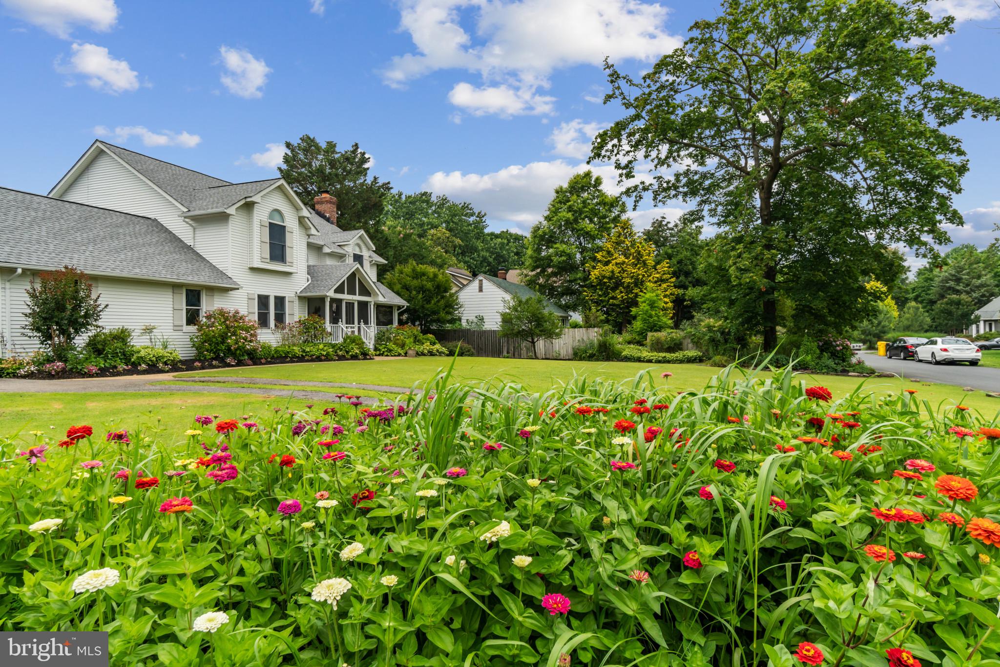 BAY RIDGE - Residential