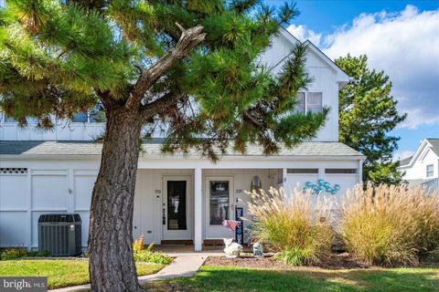 37862 EAGLE LANE 330 SELBYVILLE DE 19975
