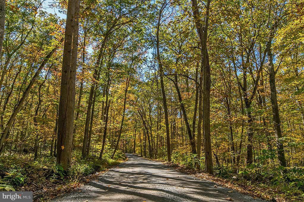 CACAPON RIVER COLONY - Residential