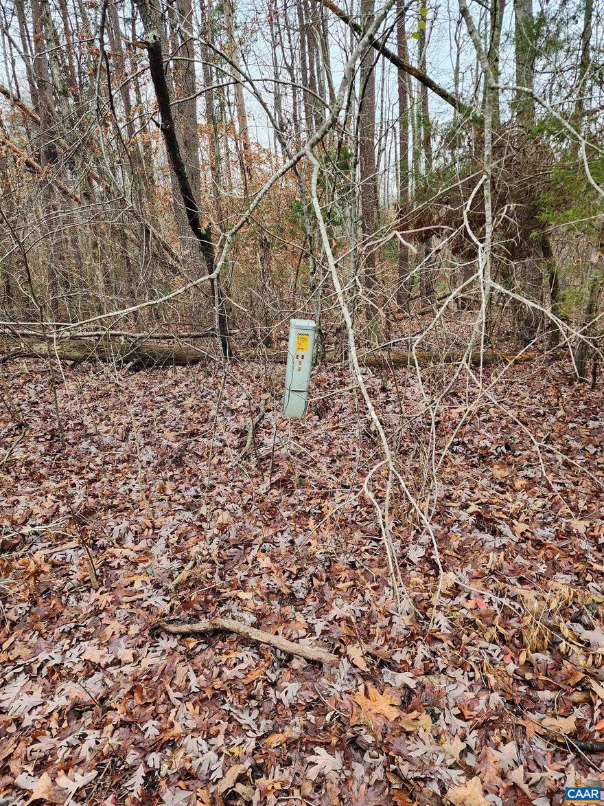 Buckingham County - 5.7 acres- in the heart of Virginia.   Raw land. Lots of road frontage for convenient access.  Owner financing/rent to own option available.   See plat in docs.