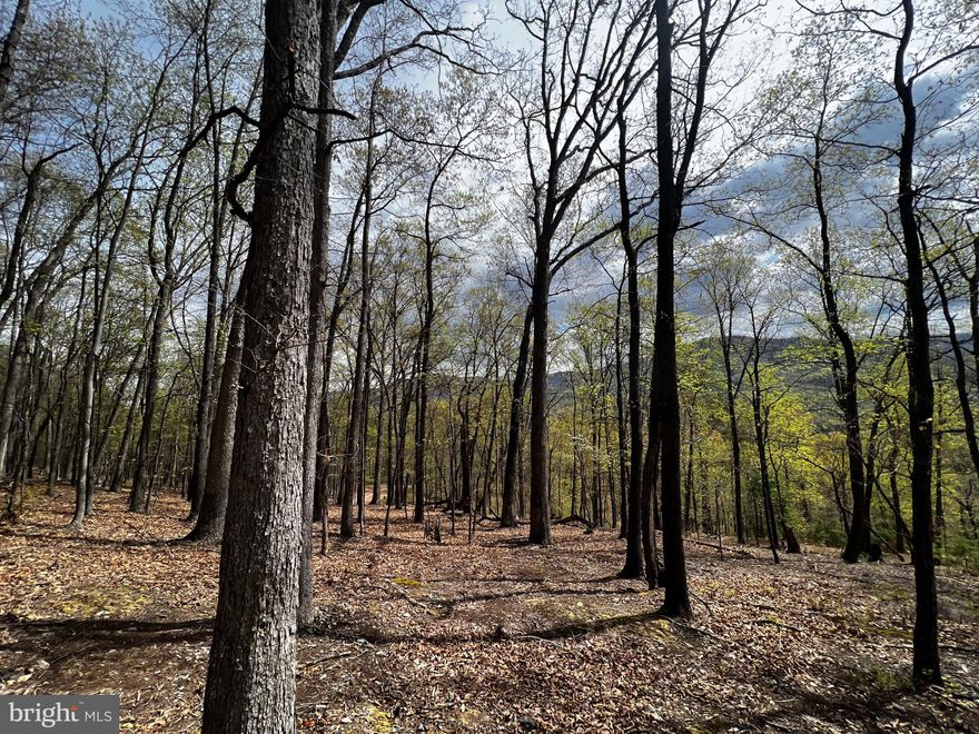 No HOA for this secluded woodland tract off South Fork. Easy access and great hunting reported. Rock outcroppings near top where you can hike to view the river valley below.  Nice level building site with total privacy!
