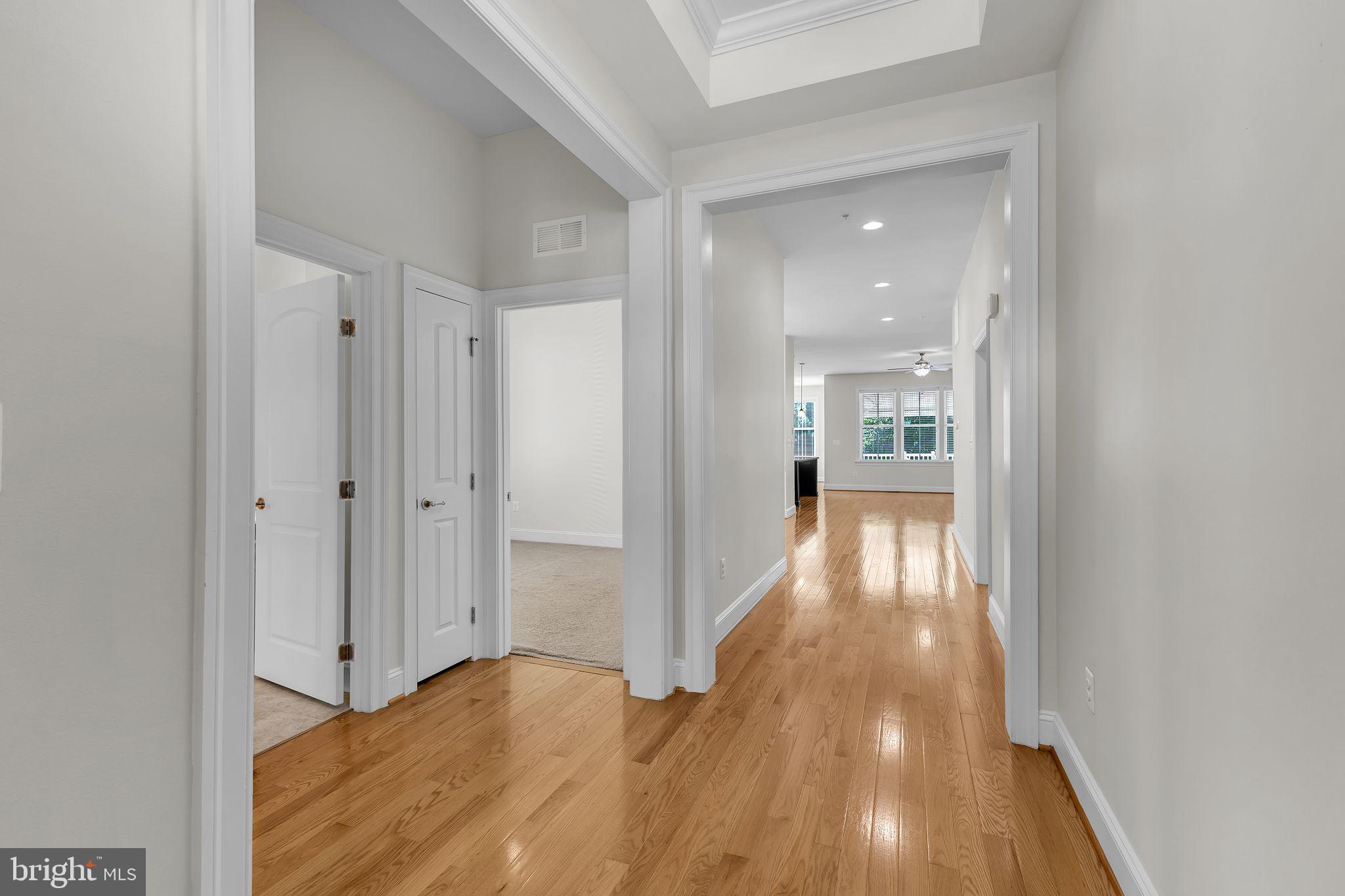 2935 LEVEE DRIVE