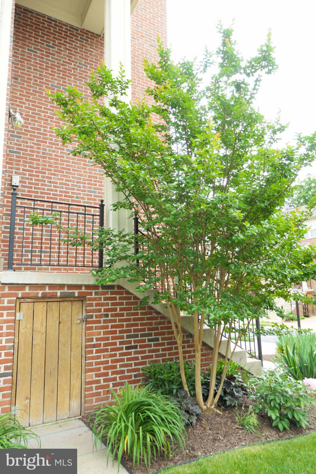 CASCADES - Residential