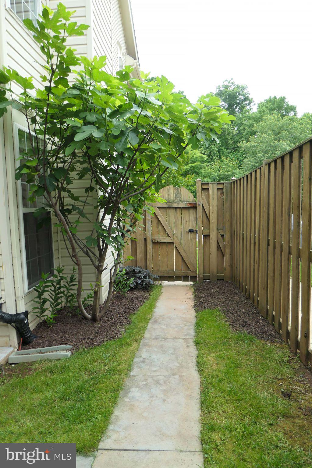 CASCADES - Residential