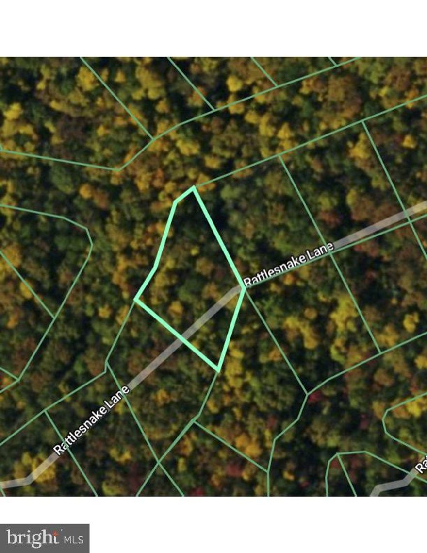 Great lot near Mountains and National Forest. Will be best used for Camping, Hunting, Hiking, Mountain Biking or Weekend getaway. Potential Investment Property! Located off Moreland Gap Rd New Market, VA  in Mountain Run Subdivision Section 4 Lot 126.