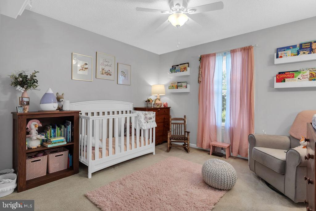 CARLISLE HEIGHTS - Residential