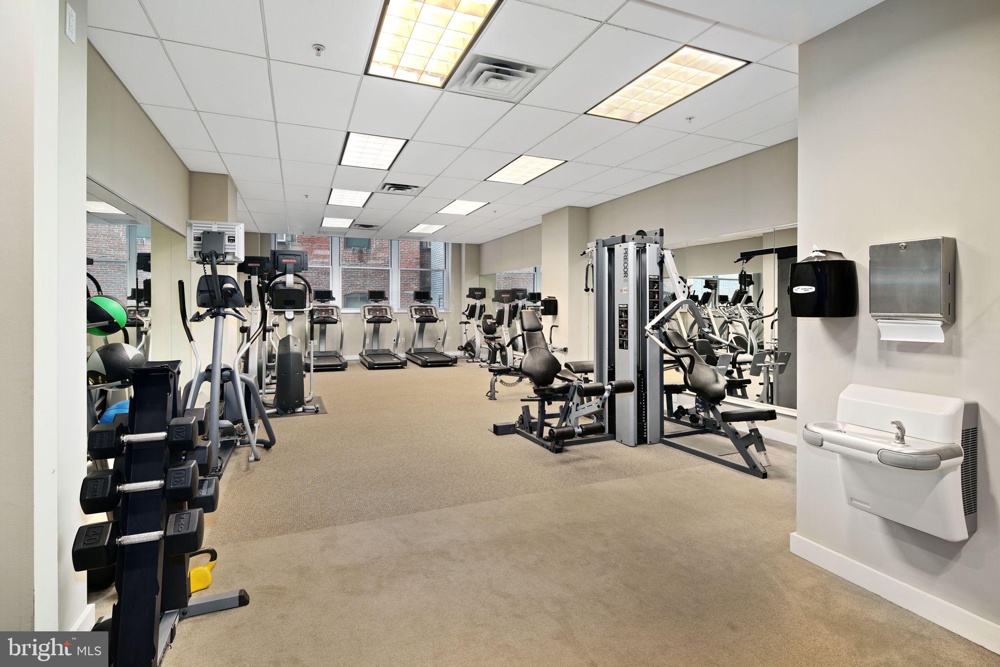 1101 LOCUST STREET 8C