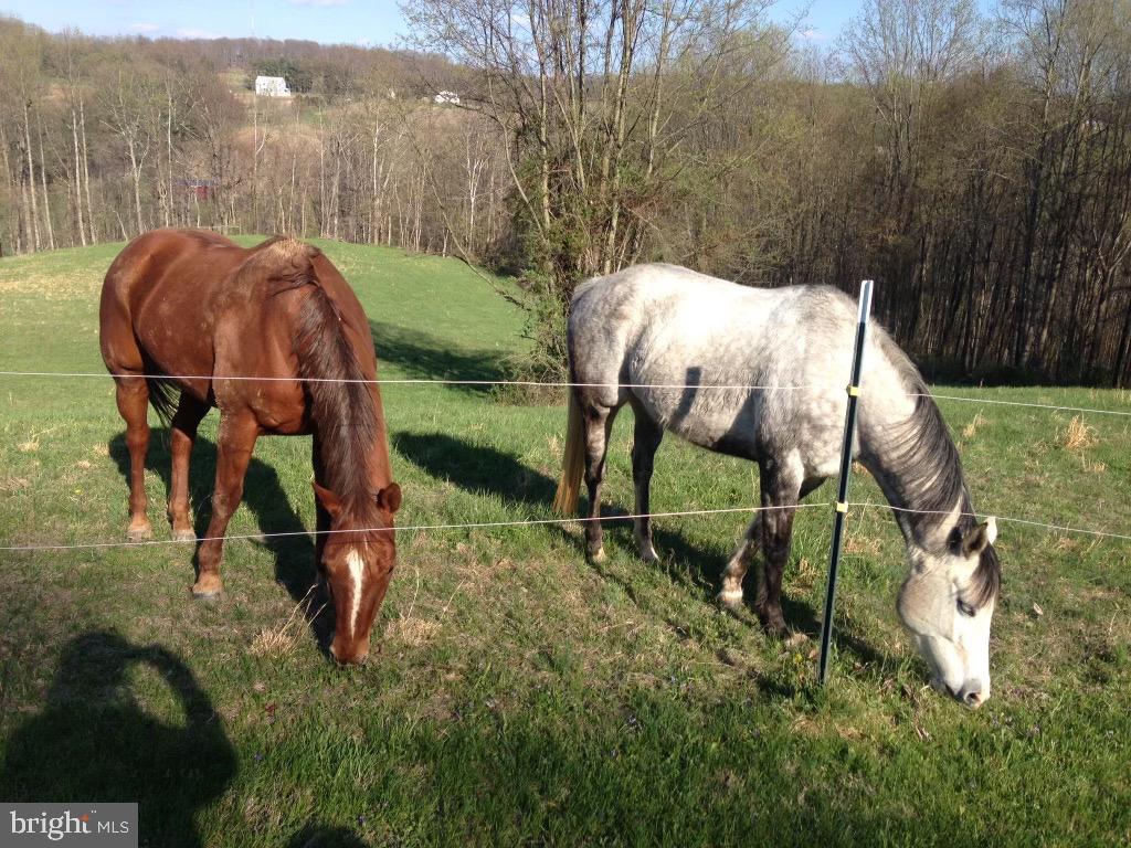 URBANA - Residential