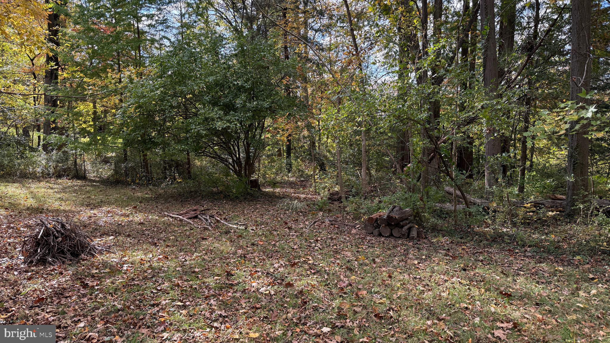 HISTORIC LUTHERVILLE - Residential