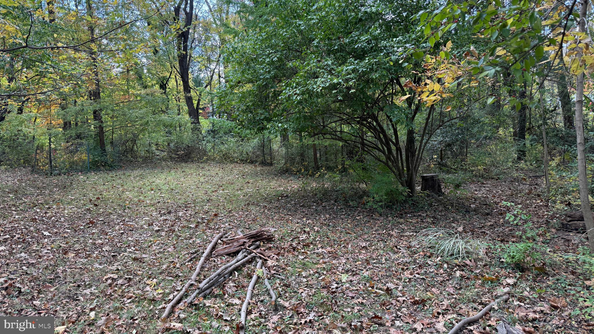 HISTORIC LUTHERVILLE - Residential