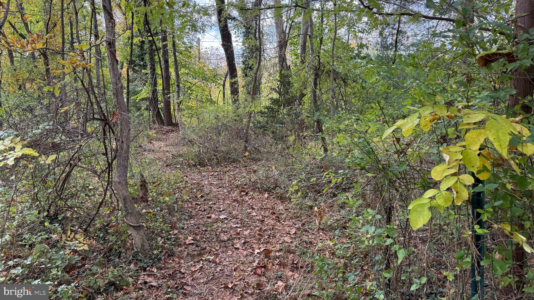 HISTORIC LUTHERVILLE - Residential
