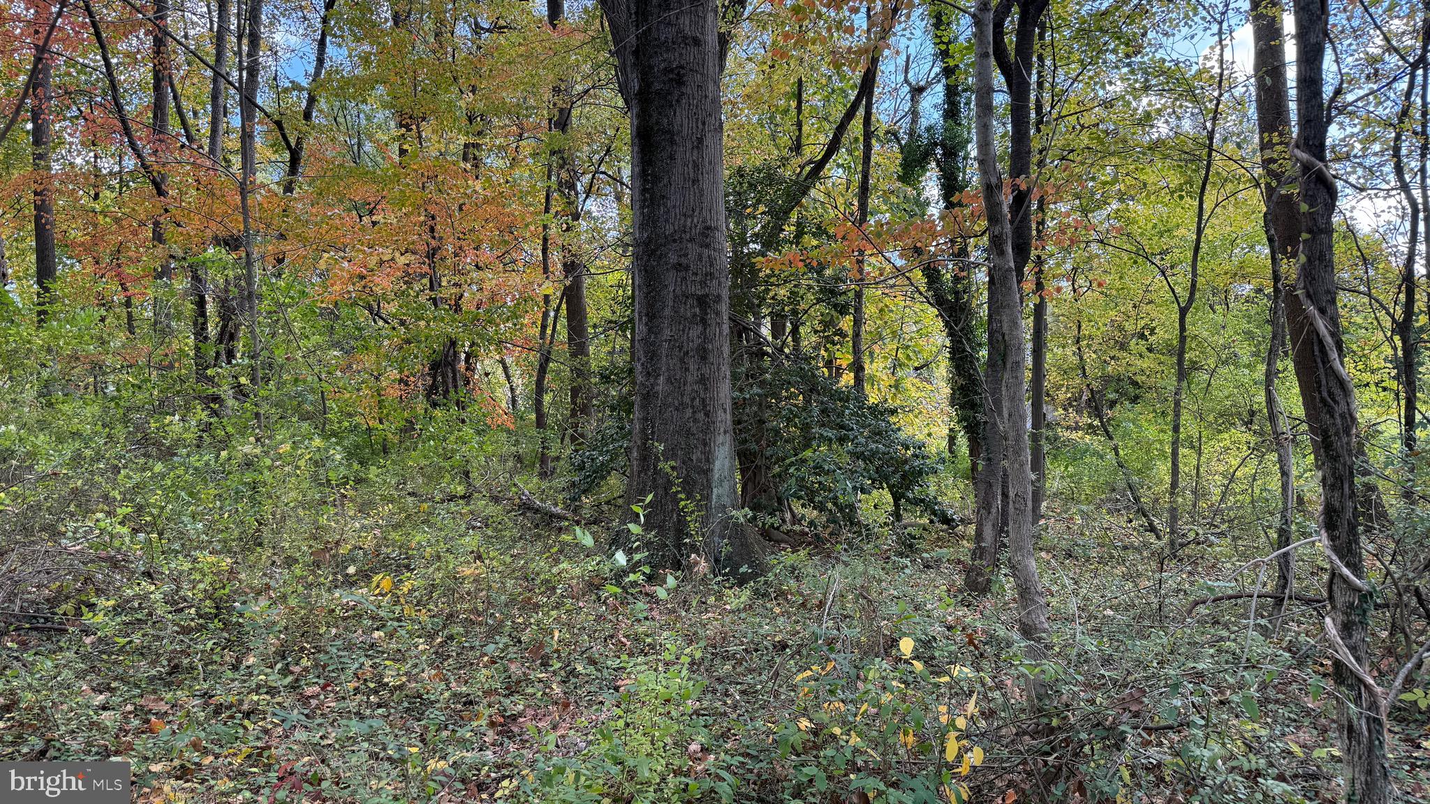 HISTORIC LUTHERVILLE - Residential