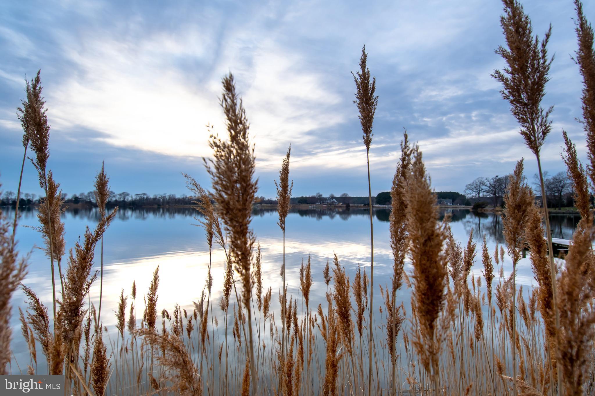 COVE CREEK CLUB - Residential