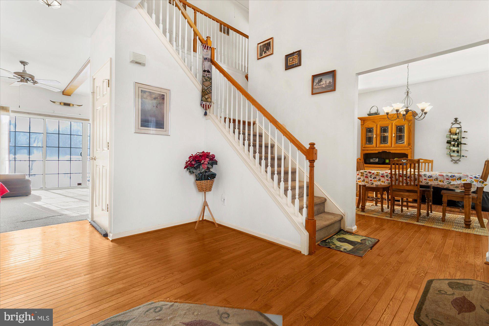 PEACEDALE COURT - Residential