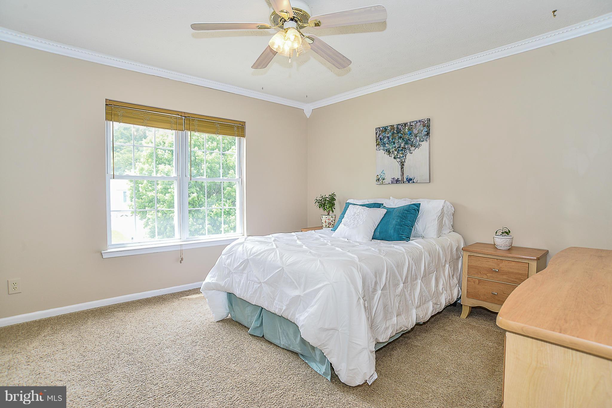 WILLIAMSBURG - Residential