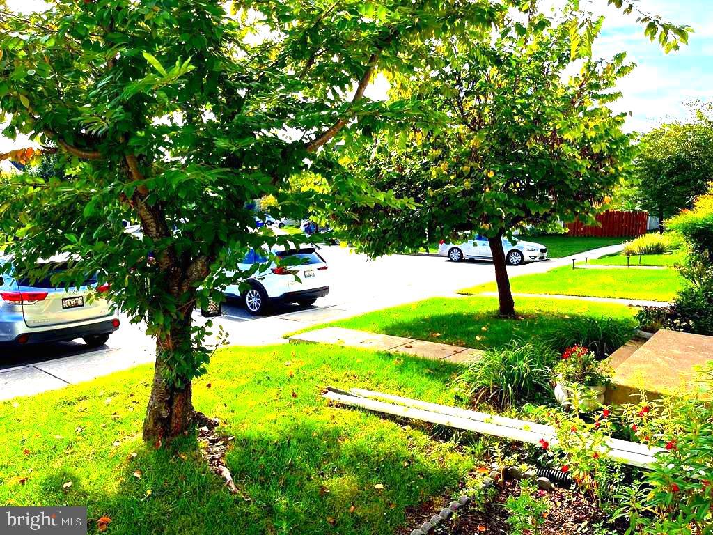 HOWARDS RIDGE - Residential Lease