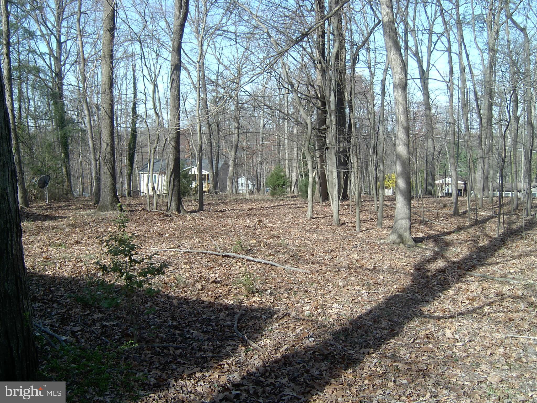 SHANNONDALE - Residential