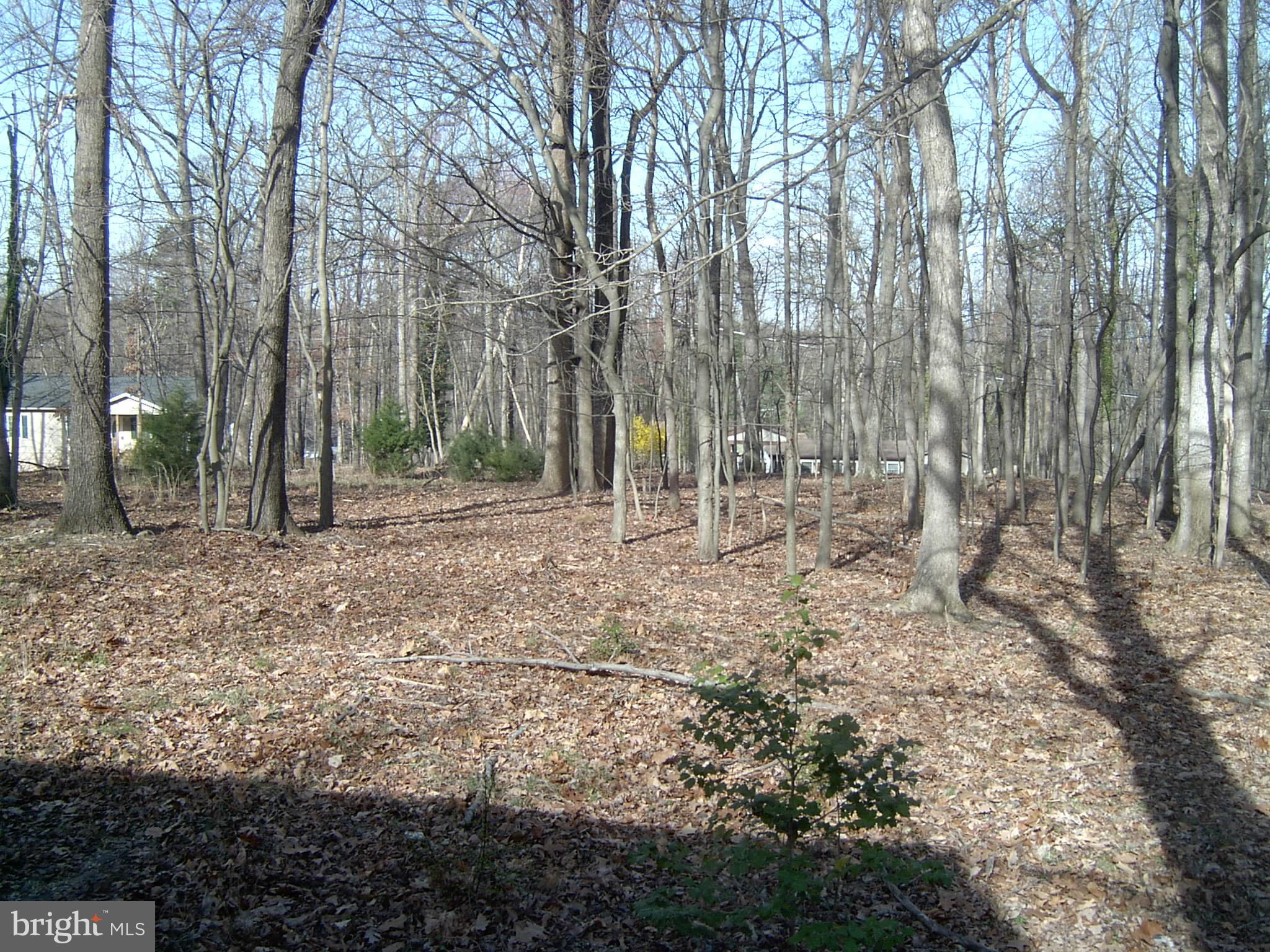 SHANNONDALE - Residential