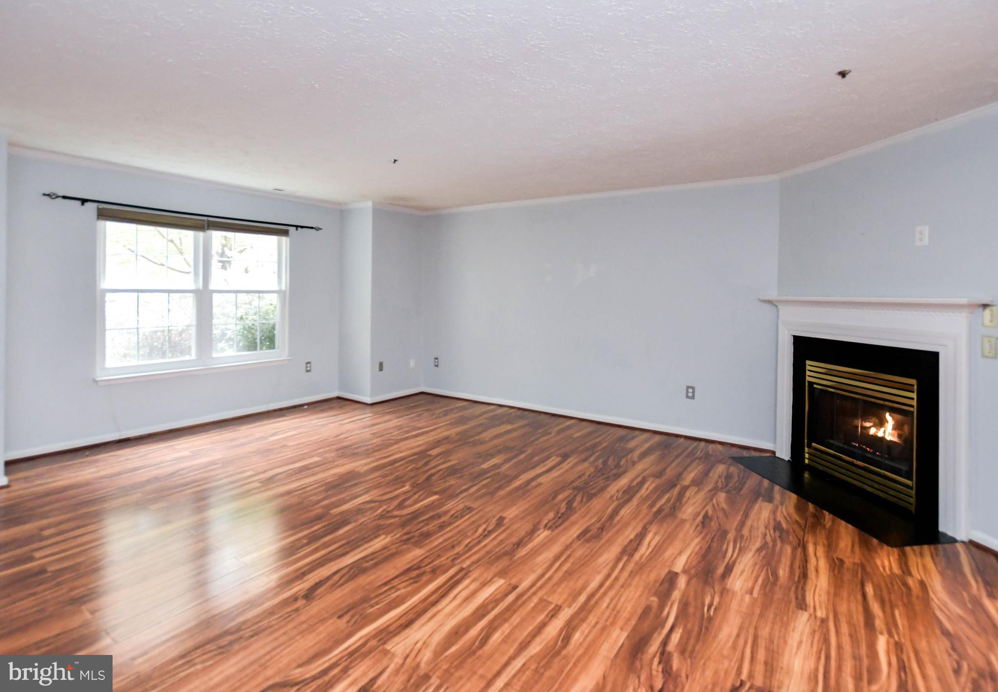 DORCHESTER NEIGHBORHOOD - Residential