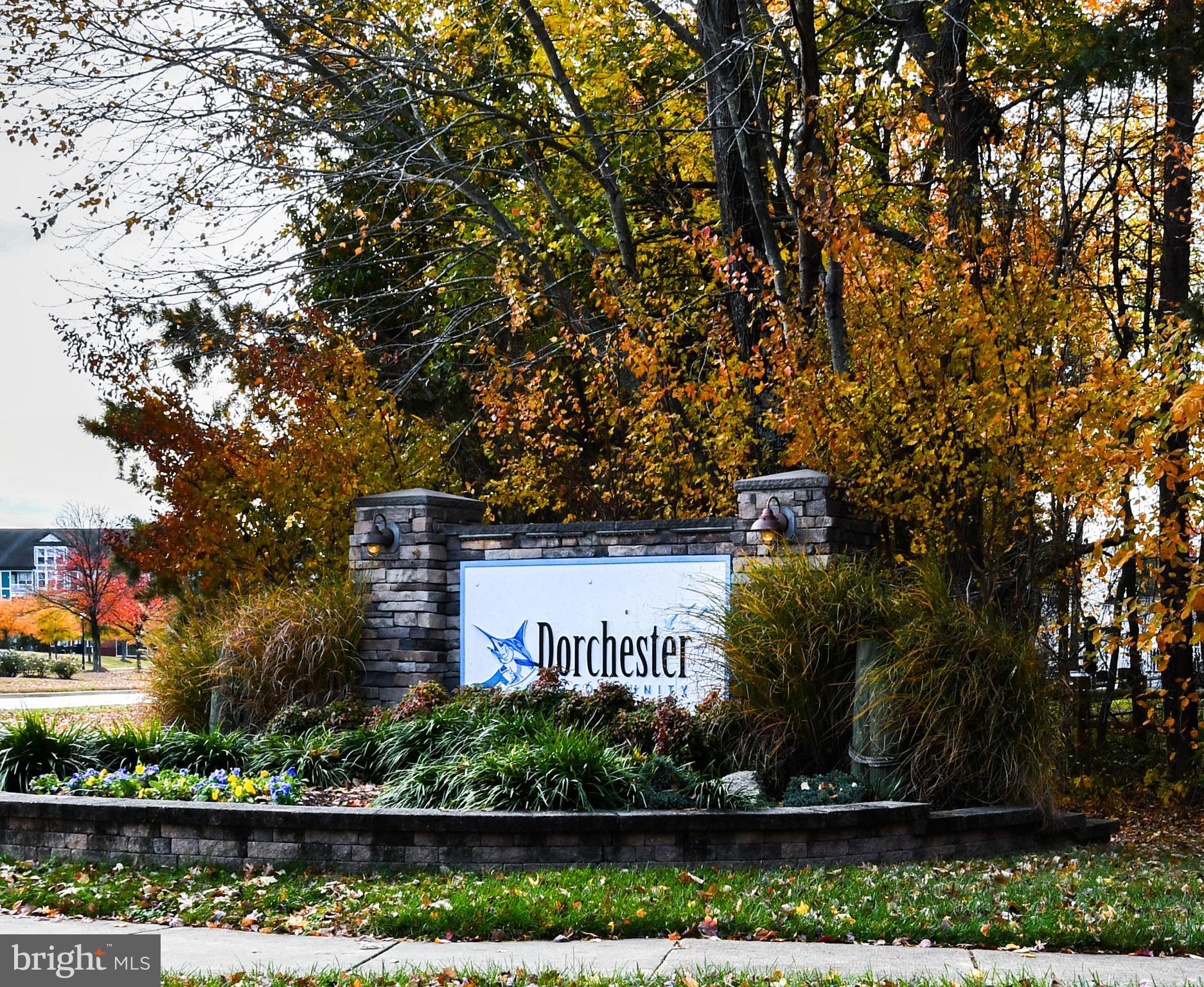 DORCHESTER NEIGHBORHOOD - Residential