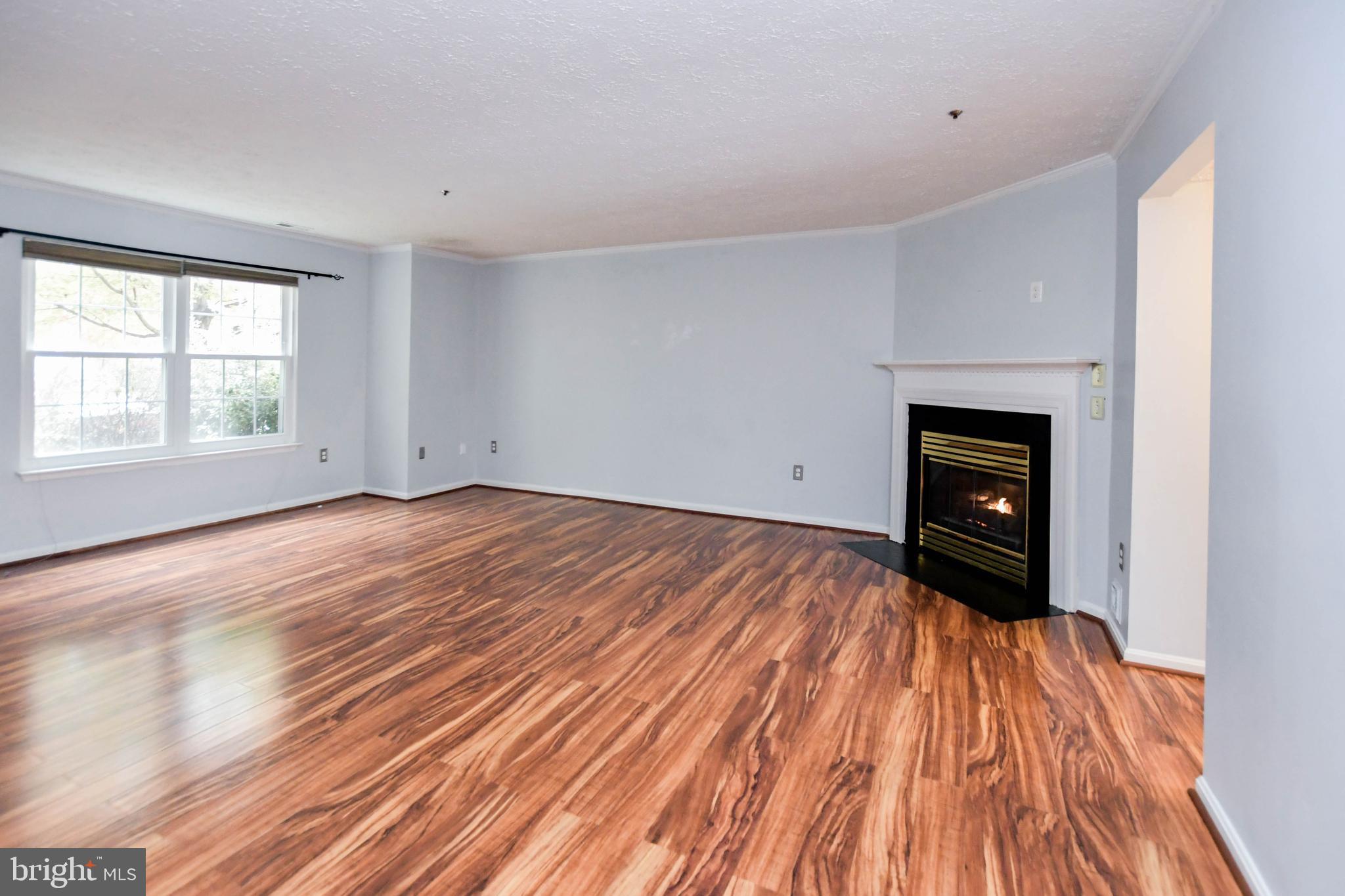 DORCHESTER NEIGHBORHOOD - Residential