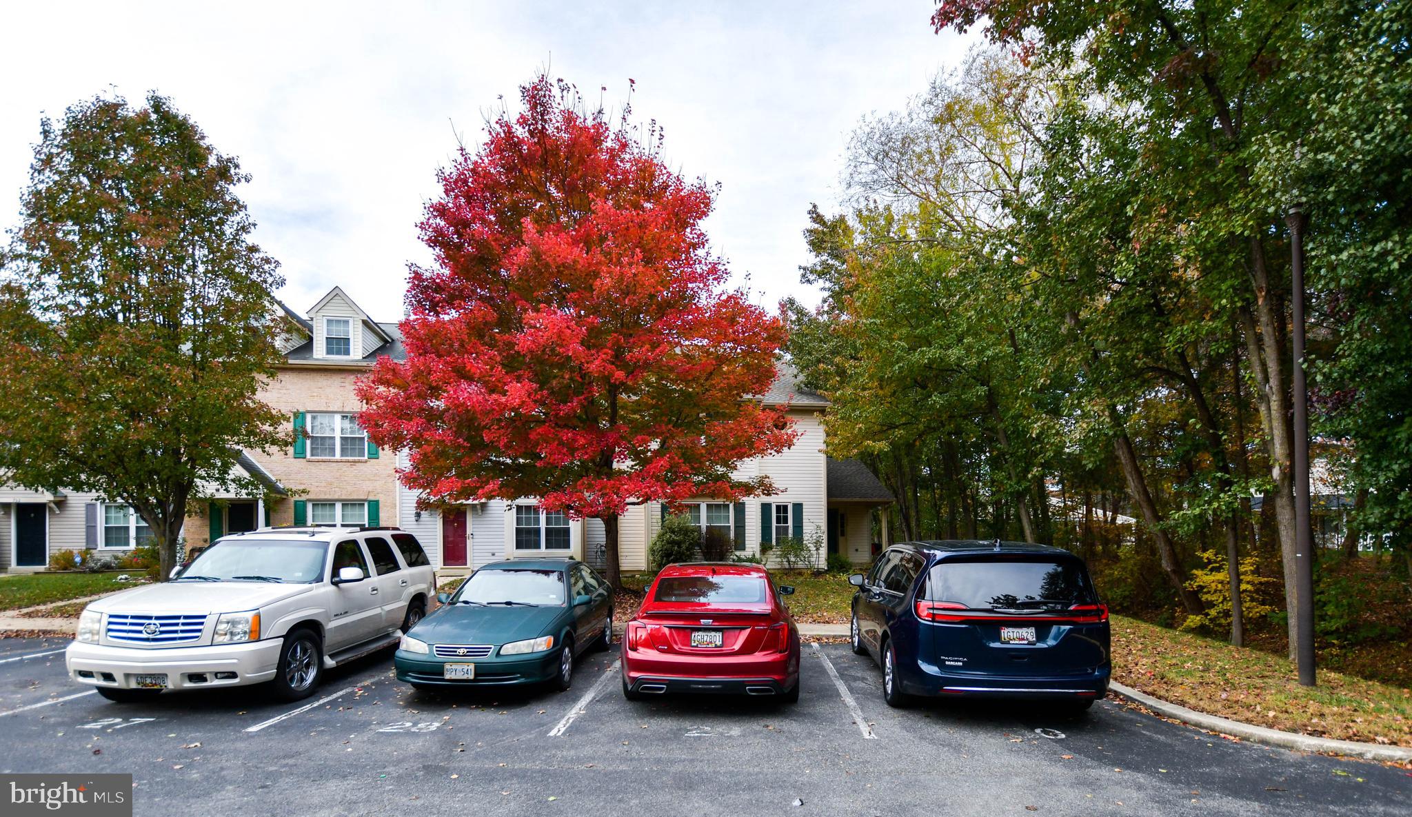 DORCHESTER NEIGHBORHOOD - Residential