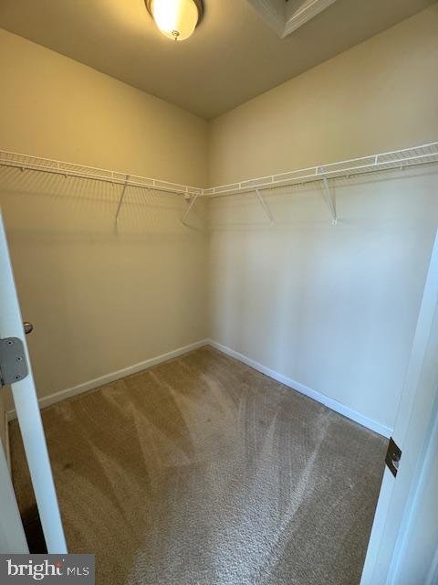 THE GALLERY - Residential Lease