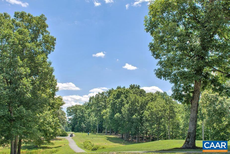 LAKE MONTICELLO - Residential