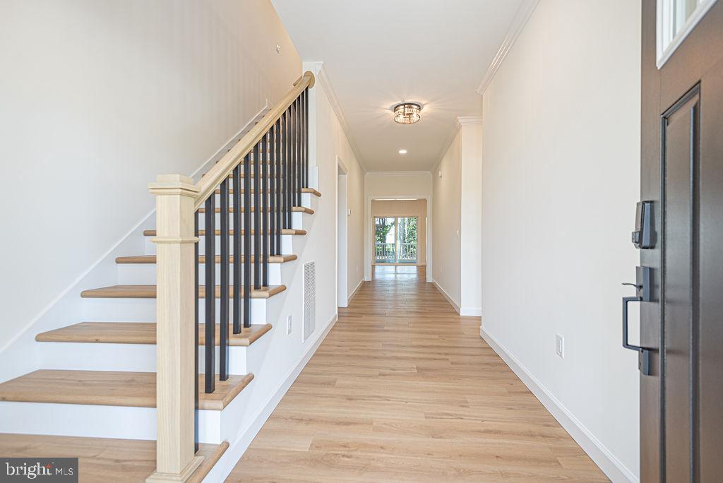 29687 PINEY NECK ROAD