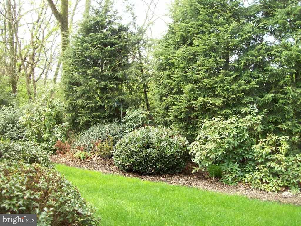 DEER FORD - Residential