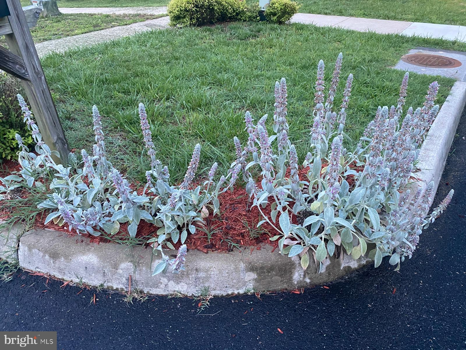 STERLING COURT - Residential