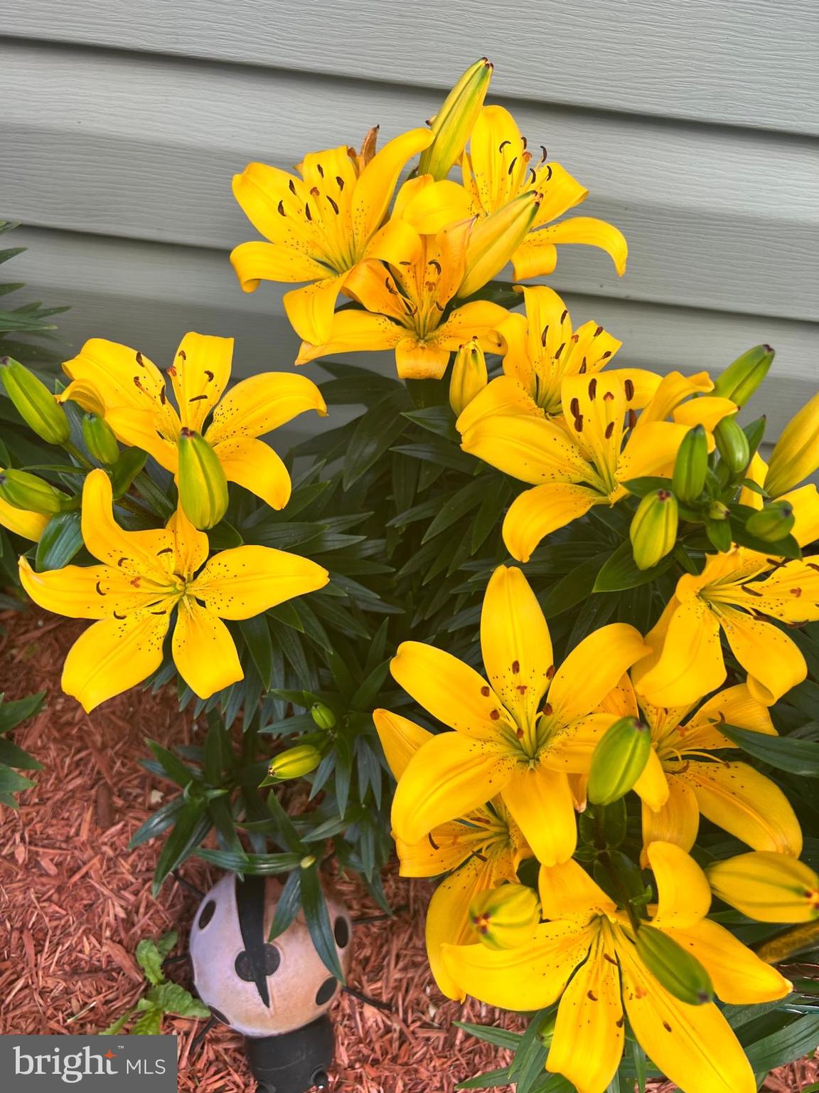 STERLING COURT - Residential