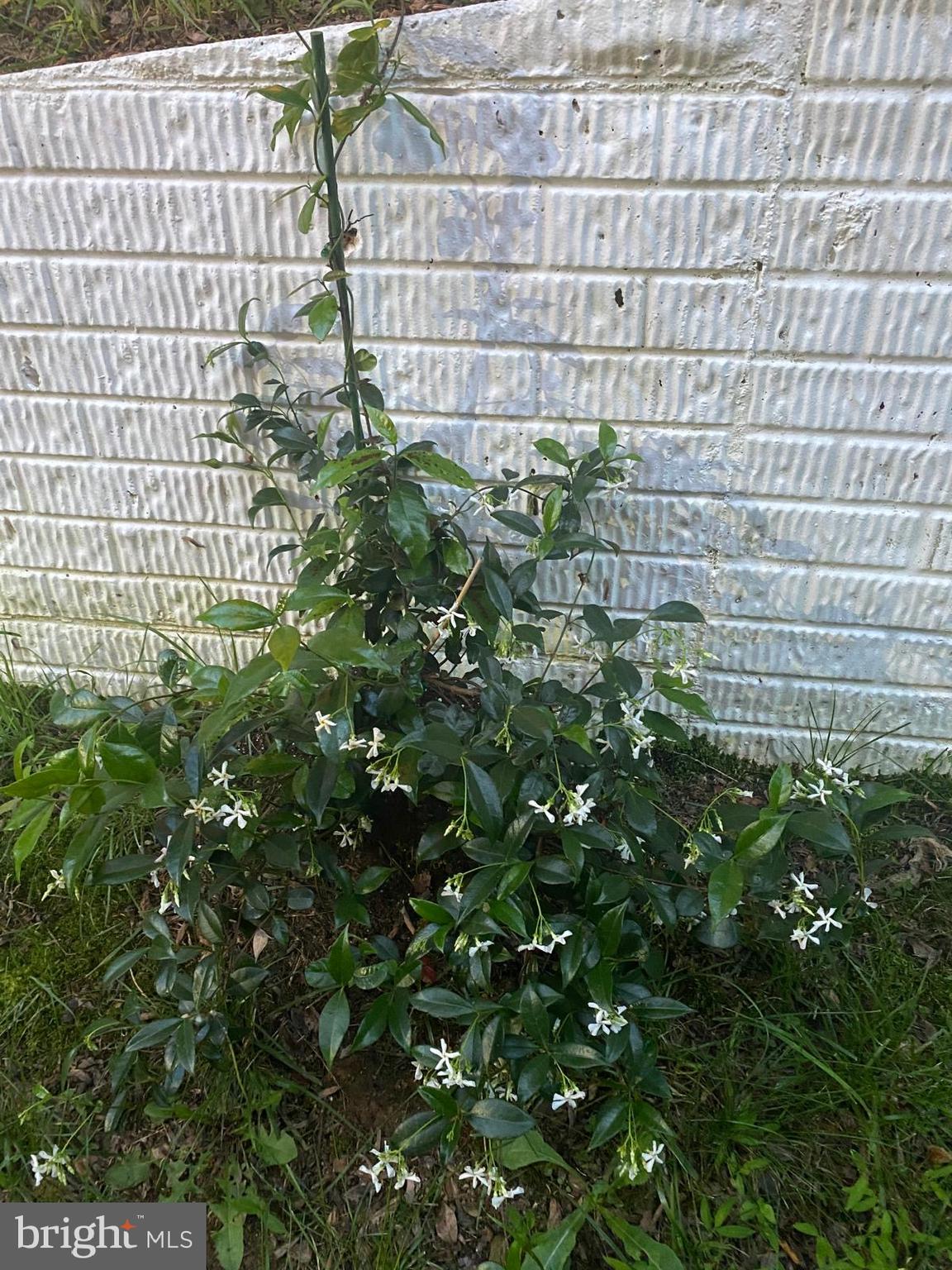 STERLING COURT - Residential