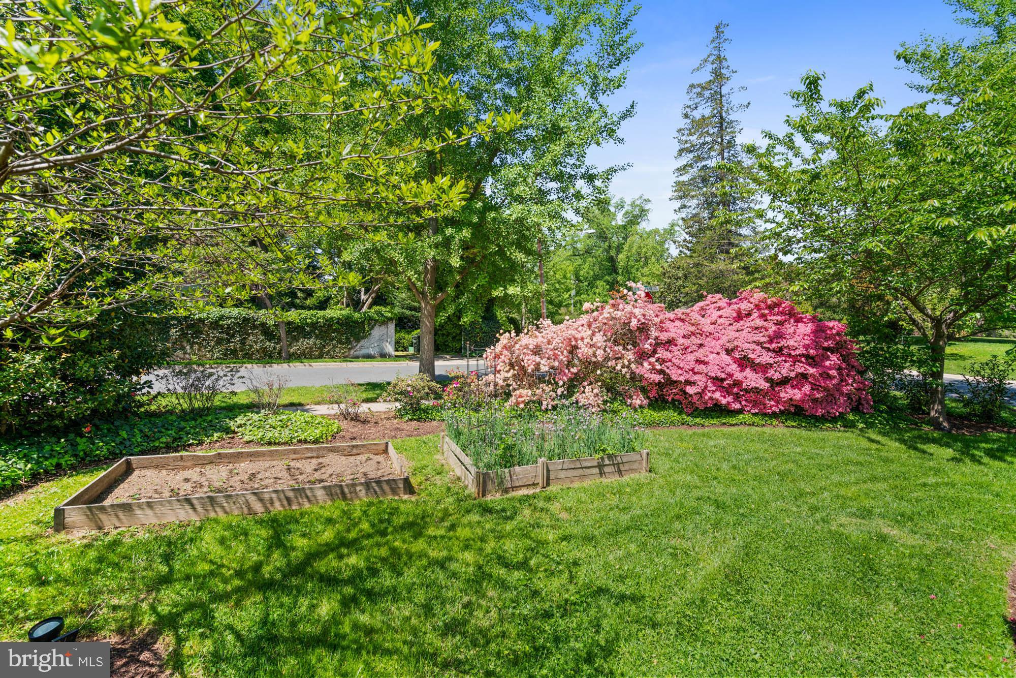 CHEVY CHASE - Residential